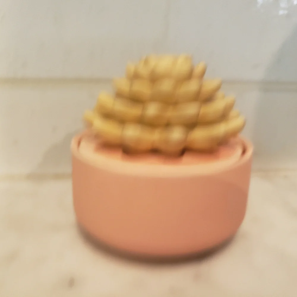 Ceramic Passive Scent Diffuser With Corded Lid